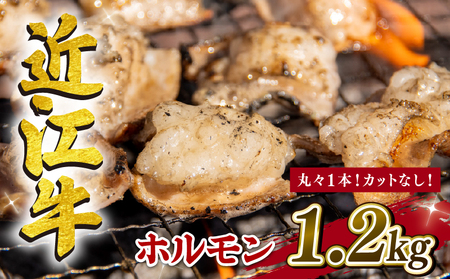 近江牛 ホルモン 1.2kg カットなし