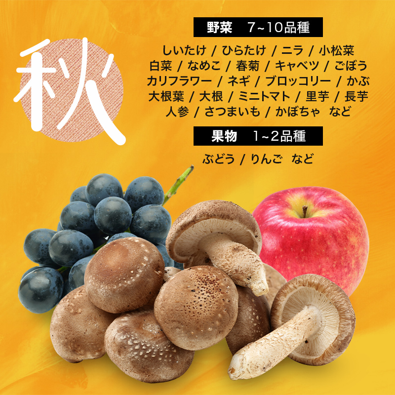 季節の定期便4回 伊達なお野菜とフルーツの詰め合わせ  野菜 セット 詰め合わせ 詰合せ 食品 F20C-491