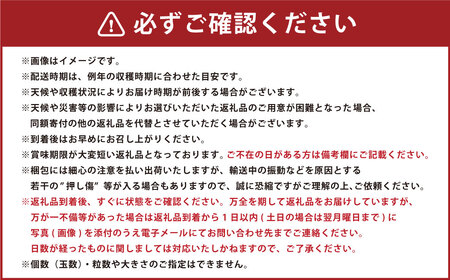 山形県おきたま産 もも （川中島白桃・まどか・桃水など） （特秀） 8玉～11玉（約3kg） 山形県産 フルーツ 果物 【2026年8月下旬～9月上旬発送予定】