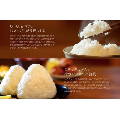 【先行受付】令和7年産新米　京都与謝野町産「豆っこコシヒカリ」精米5kg　環境に優しく、美味しいお米