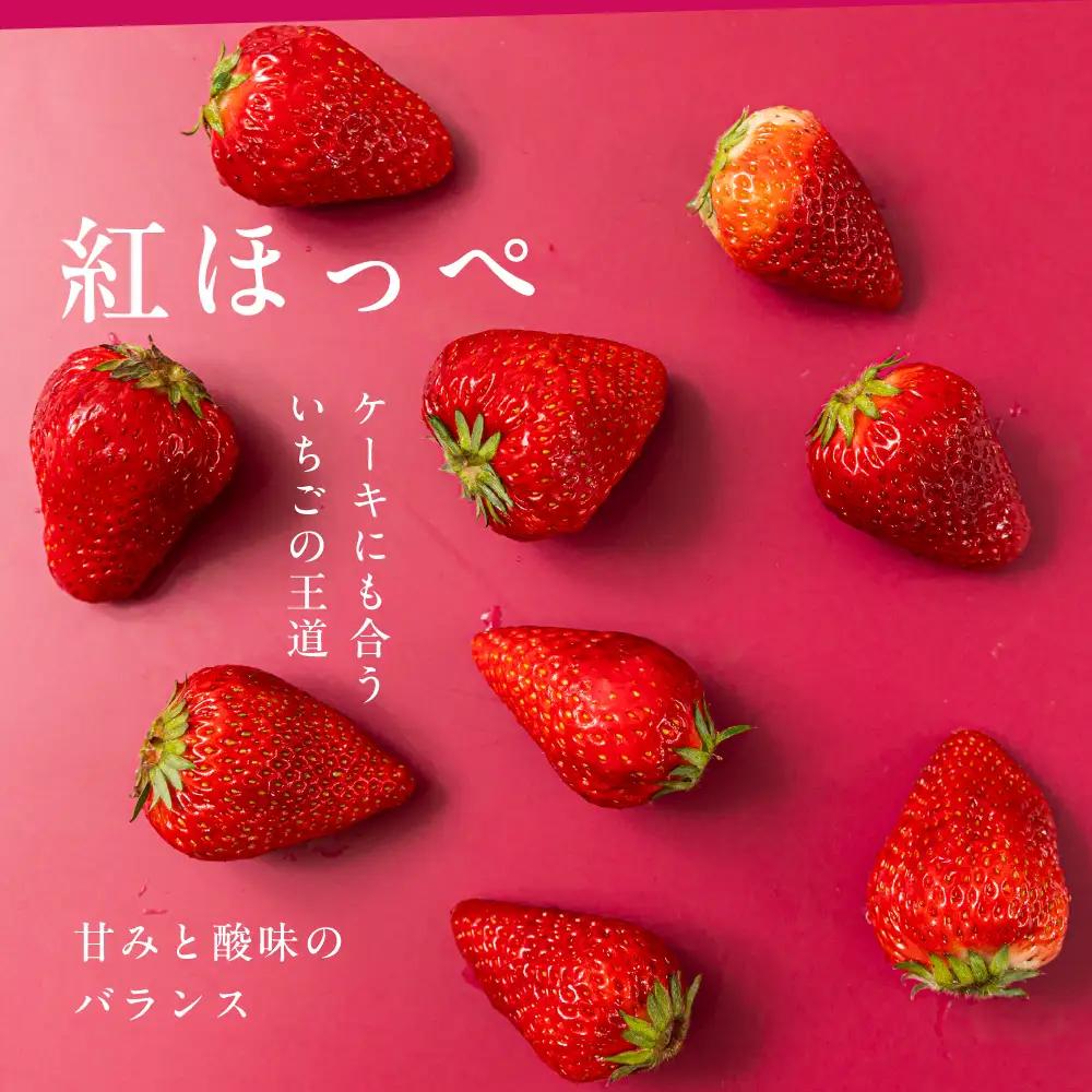 【先行予約】《2027年1月～発送》令和9年産 品種おまかせ いちご 紅ほっぺ かおり野 1kg (250g × 4p) サイズ 不揃い 農園直送 生食 ケーキ [mt2205]｜フルーツ 果物 苺 