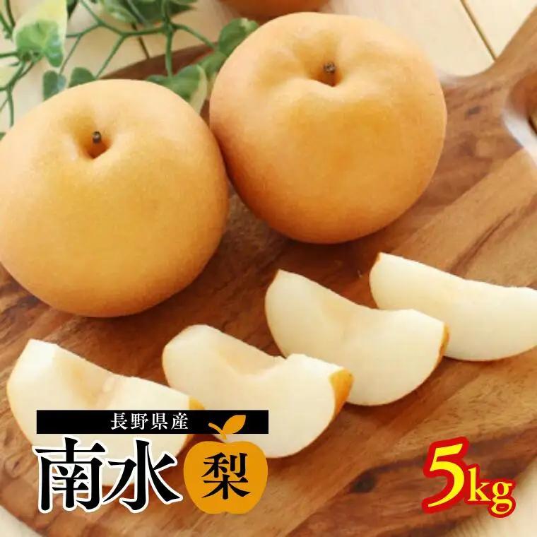 MS07 梨 南水（長野県産秀品） 約5kg / 2026年9月中旬～10月下旬頃 配送予定 // 南信州産 長野県 和梨 なし ナシ 南水 なんすい 赤梨