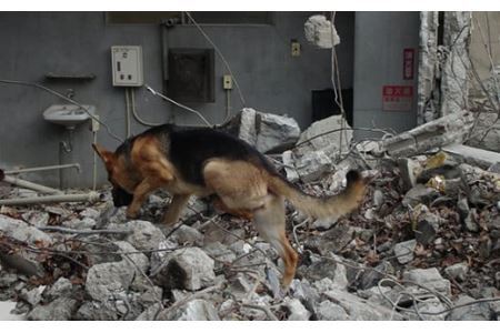 日本捜索救助犬協会の活動を応援！30万円 ｜犬 猫 被被災地支援