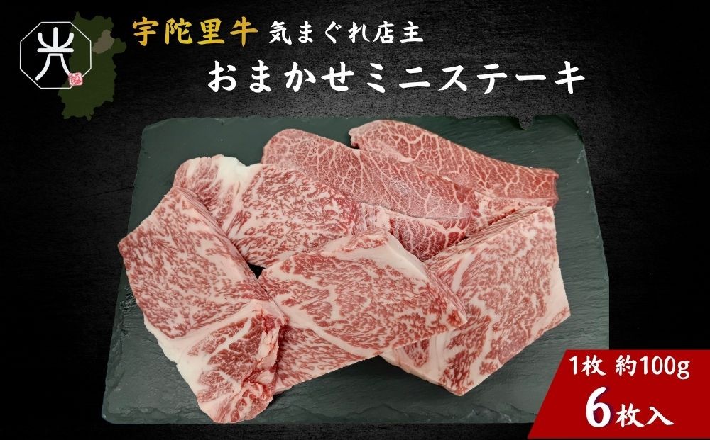 
                  宇陀里牛 店主 おまかせ ミニステーキ 6枚セット（1枚 約100g）／ ふるさと納税 牛肉 部位おまかせ 黒毛和牛 国産牛 ステーキ キャンプ バーベキュー BBQ 贈答 6枚 ギフト 高級牛肉 奈良県 宇陀市 光福久屋
                