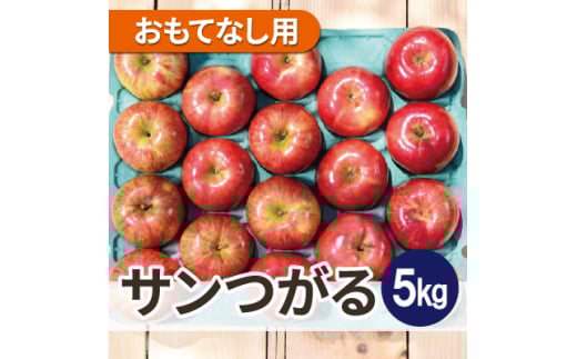 ＜25年8月より順次発送＞平均糖度12度以上! サンつがる 約5kg おもてなし用  クール便【1611776】