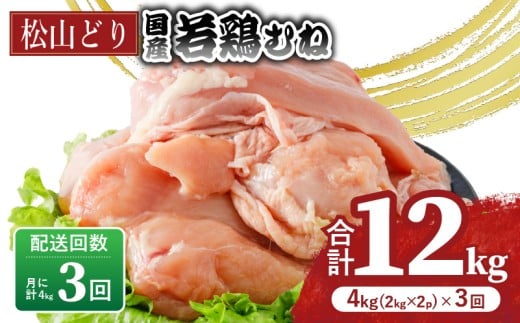 【定期便3回】松山どり むね肉 2kg×2パック×3回 | 定期便 国産 鶏肉 小分け 若鶏 冷凍 愛媛県 松山市 株式会社ビージョイ