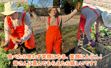 にんじんジュース「からだ　よろこぶ」　1本720ml　12ヶ月定期便 