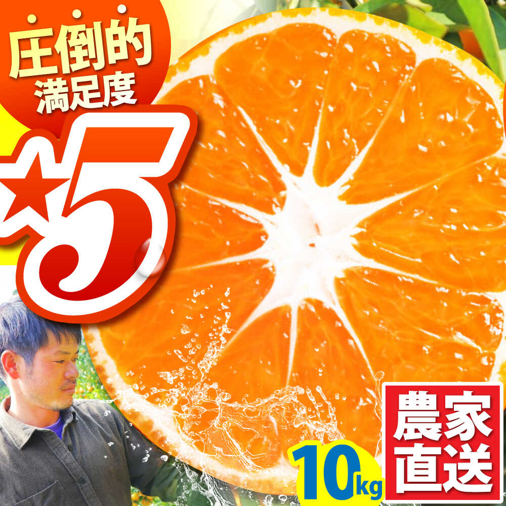 【ふるさと納税】【2025年10月下旬〜発送】温州みかん 10kg / みかん ミカン 蜜柑 甘い フルーツ 果物 / 南島原市 / 蜜柑屋まつお [SCQ002]