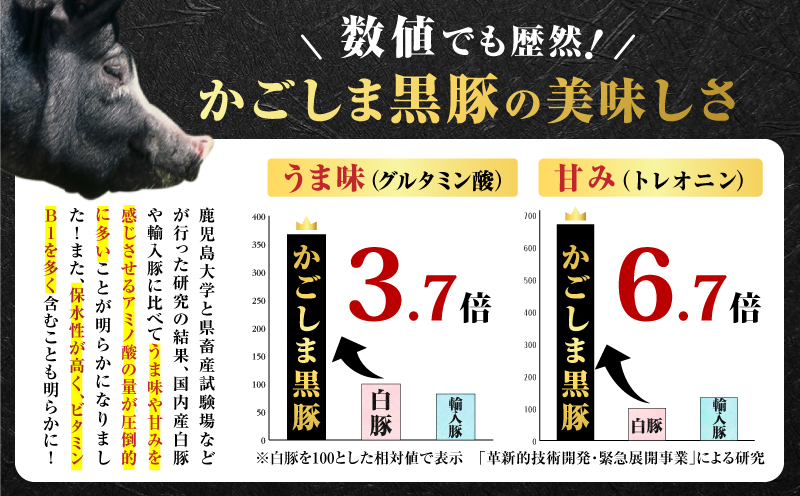 昔ながらの黒豚しゃぶしゃぶセット＜バラ、ロース、肩ロース＞3～4人前　K125-003