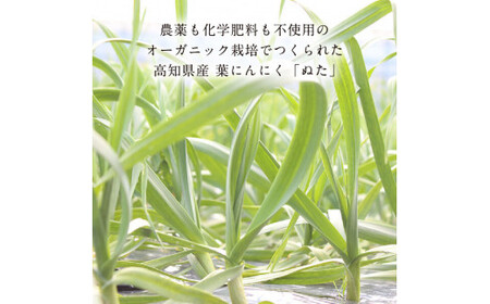 高知厳選１本釣り本わら焼き「高知本気シリーズ　極カツオのタタキ（６～７人前）あの有名番組で紹介された有機無添加土佐にんにくぬた、タレ付き」数量限定