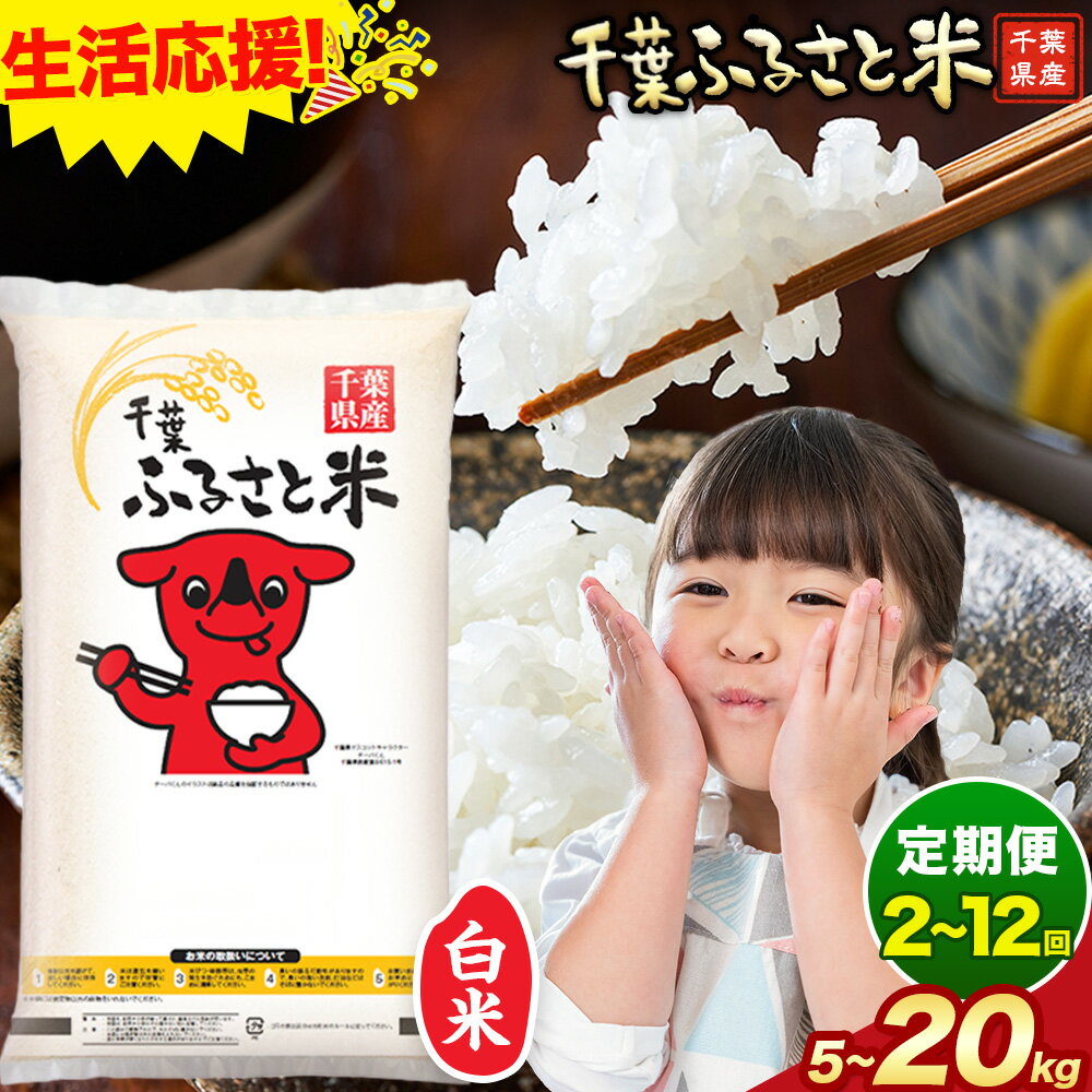 【ふるさと納税】 米 千葉ふるさと米 定期便あり 選べる 内容量 5kg 10kg 15kg 20kg 《出荷時期をお選びください》千葉県 勝浦市 米 白米 精米 国産 お米 おこめ お弁当 おにぎり こしひかり コシヒカリ