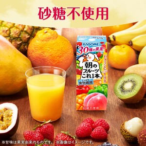 【 定期便 5ヶ月連続お届け 】カゴメ 朝のフルーツこれ一本 200ml×24本 果実ミックス飲料 30種の果実 1日分のビタミンC 1日分の果実 添加物不使用 砂糖不使用 食物繊維 植物性乳酸菌 果