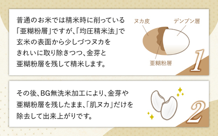 金芽米 新米定期便10kg×2回 金芽米