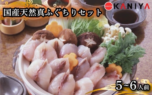 国産 天然 真ふぐ ちり セット 5～6人前  1kg 河豚 ふぐ フグ まふぐ マフグ ふぐ刺し てっさ ふぐ料理 高級魚 魚介 海鮮 贈答 ギフト 贈り物 お取り寄せ 年末年始 蟹屋 KNY-F10 下関 山口