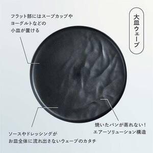 ARAS大皿ウェーブ【カラー：ピンクグレー】 F6P-0018