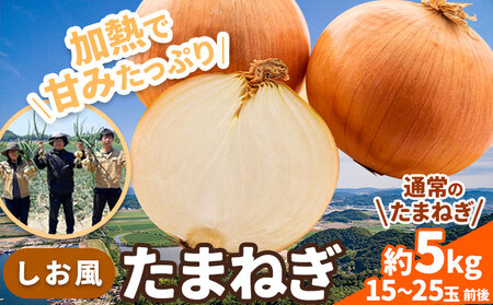 たまねぎ【2025年先行予約分】しお風たまねぎ 約5kg《2025年6月上旬-6月末頃出荷》 玉ねぎ たまねぎ 野菜 青果物 岡山県 笠岡市 玉ねぎ 5kg たまねぎ 玉葱 通常のたまねぎ