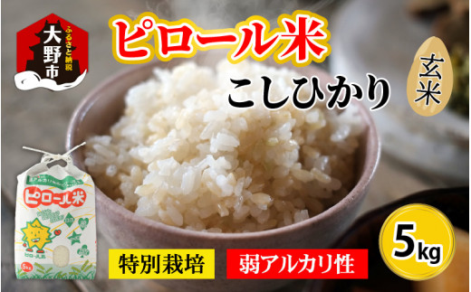 【令和7年産】こだわりの米！弱アルカリ性のピロール米 こしひかり 玄米 5kg [A-009002]