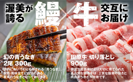 【定期便】幻の青うなぎ＆田原牛 堪能定期便 3回