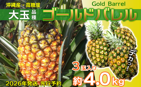 パイン【2026年発送】先行予約 ゴールドバレル 3玉 （約4.0kg） パイナップル