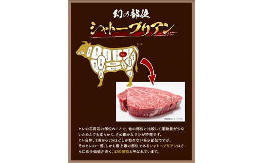 A4・A5等級のみ使用 博多和牛 シャトーブリアン 300g（150g×2枚） 希少部位《30日以内に出荷予定(土日祝除く)》 牛肉---sc_fckzhwsb_30d_22_31500_2p---