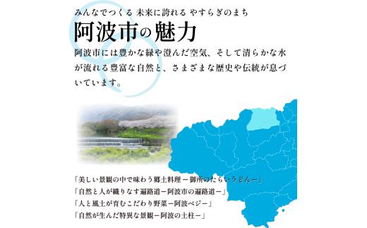 【先行予約】 訳あり いちご よつぼし 1.7kg 果物 フルーツ 苺 ストロベリー ケーキ アイス シャーベット ジェラート ゼリー ジュース ジャム スムージー 洋菓子 和菓子 お菓子 おやつ フルーツサンド フルーツ大福 苺大福 不揃い 規格外 家庭用 人気 オススメ お取り寄せ グルメ 徳島県 阿波市 チタチタストロベリーファーム