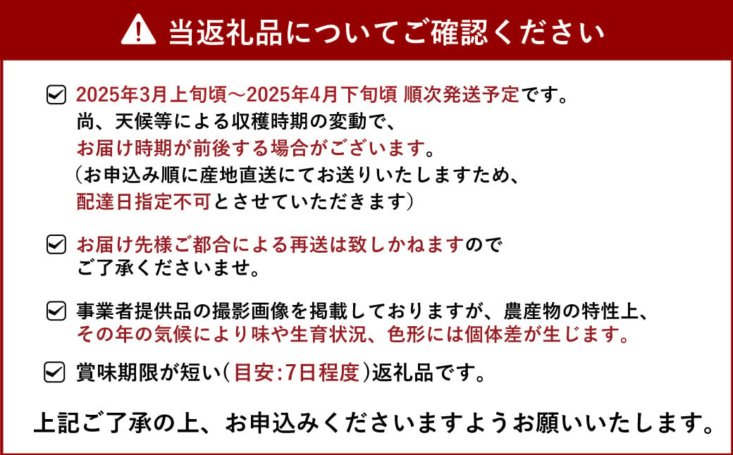 雑誌「MORE」掲載商品 不知火 デコポン 訳あり品 9kg 【松川果樹園】【2025年3月上旬から4月下旬発送予定】