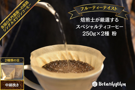 スペシャルティーコーヒー 【フルーティーテイスト】 250g×2種類【中細挽き】 mi0043-0010-2 珈琲 ｶﾌｪ くつろぎ 焙煎