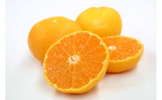 【期間限定】蒲郡温室みかん 2.5kg（秀品）_【G0001】
