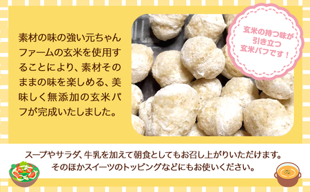 玄米パフ(10パック入り) 自然で優しい素朴なスナック菓子 元ちゃんファーム