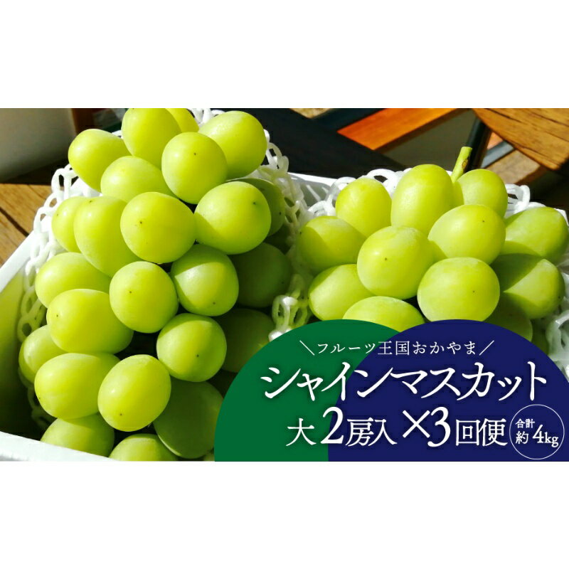 【ふるさと納税】【発送月固定定期便】【きよとうファーム】シャインマスカットを楽しむ満足便!/全便計3.9kg〜全3回【配送不可地域：離島】【4066235】【KF-T045-01】