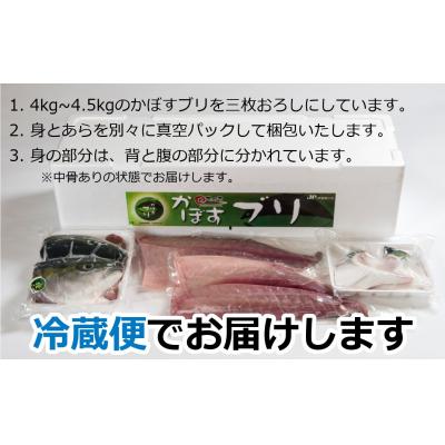 ふるさと納税 臼杵市 先行受付≪着日指定必須≫こんなブリ食べたことない!?「うすき産かぼすブリ」(1本) |  | 01
