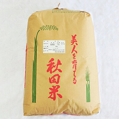 【ふるさと納税】あきたこまち玄米30kg【1030847】