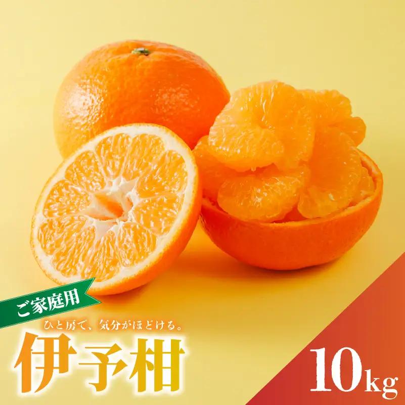 【2027年1月下旬から順次発送】 宮内伊予柑 10kg | 期間限定 期間限定【RNK0083】