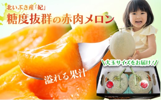 【先行予約】特選大玉赤肉メロン【2玉入り】【令和8年7月末発送】 K001