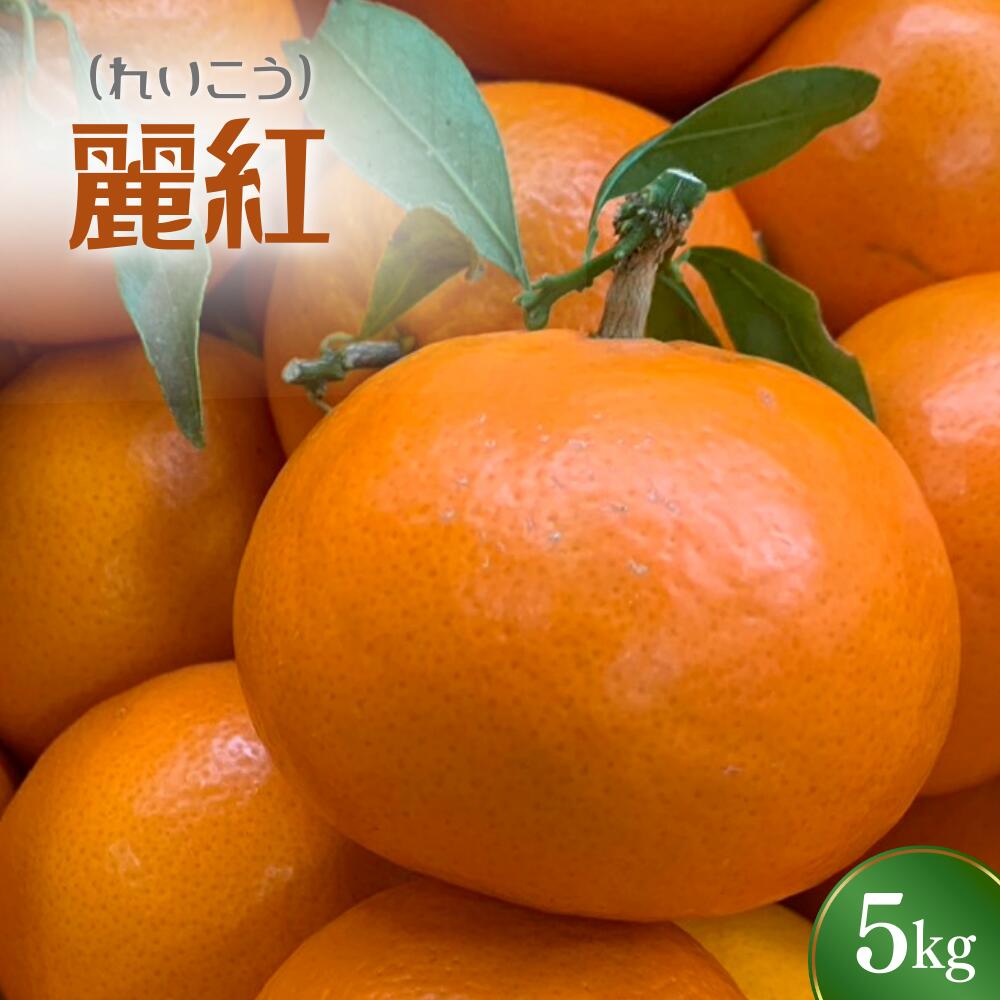 【ふるさと納税】 ＼先行予約／ れいこう 麗紅 5kg （2026年2月以降順次発送予定） / みかん 柑橘 珍しい ミカン 柑橘 フルーツ 果物 紀州産 和歌山県 田辺市