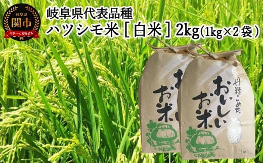 【岐阜県代表品種】令和7年産 ハツシモ米 【白米】2kg（1kg×2袋） S19　【12月以降順次発送】