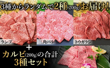 ＜ひとり贅沢＞佐賀牛 希少部位含むおまかせ焼肉セット3種400g【ミートフーズ華松】 ブランド 高級 和牛 霜降り BBQ やわらか 冷凍 料理  精肉 牛肉 希少 赤身 カルビ[FAY064]
