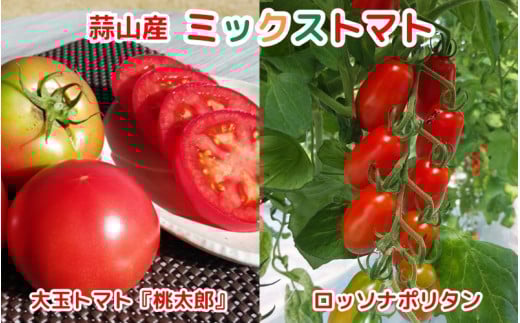亮麻農園　ミックストマト　大玉トマト「桃太郎」＆イタリアントマト「ロッソナポリタン」【ryoma003】