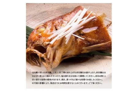『釣赤甘鯛 C』 【魚 魚介 魚介類 鮮魚 さかな 日向灘 魚介 魚介類 赤甘鯛 九州 宮崎 川南町 新鮮 魚介 海の幸  魚介類 甘鯛 たい 送料無料 魚介 魚介類】