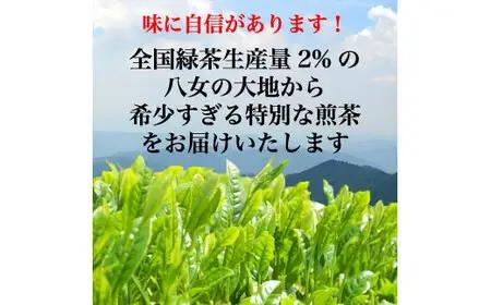 八女茶 緑茶ティーバッグ100個入り　008-038