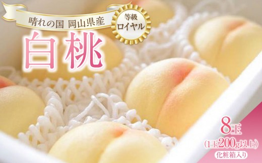 
                  桃 2027年 白桃 8玉（1玉200g以上） 等級： ロイヤル 化粧箱入り もも モモ 岡山県産 国産 フルーツ 果物 ギフト
                