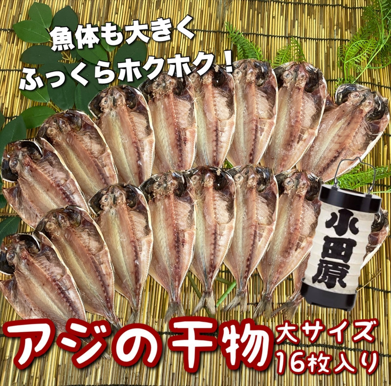 鯵の干物 大サイズ 16枚セット 142069_DQ126