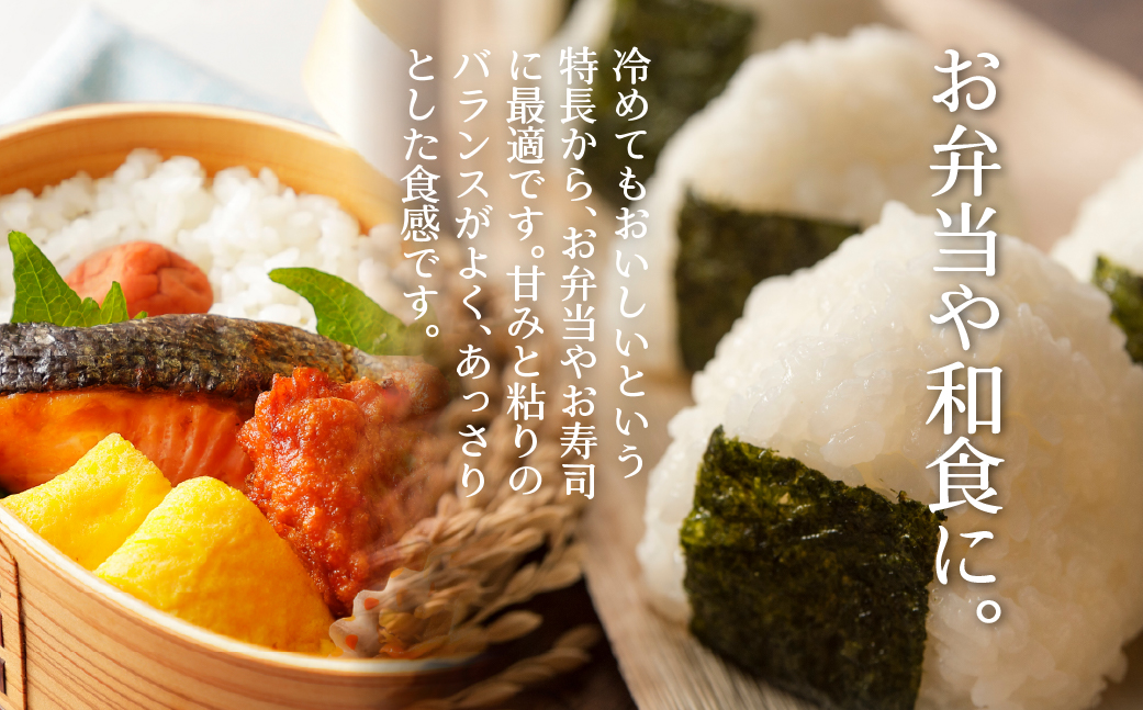【令和7年産】（無洗米12kg）ホクレン喜ななつぼし（2kg×6袋） SBTD113