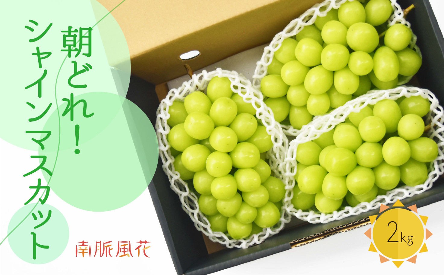 【先行予約】朝採れ！シャインマスカット2kg　 ALPAJ023