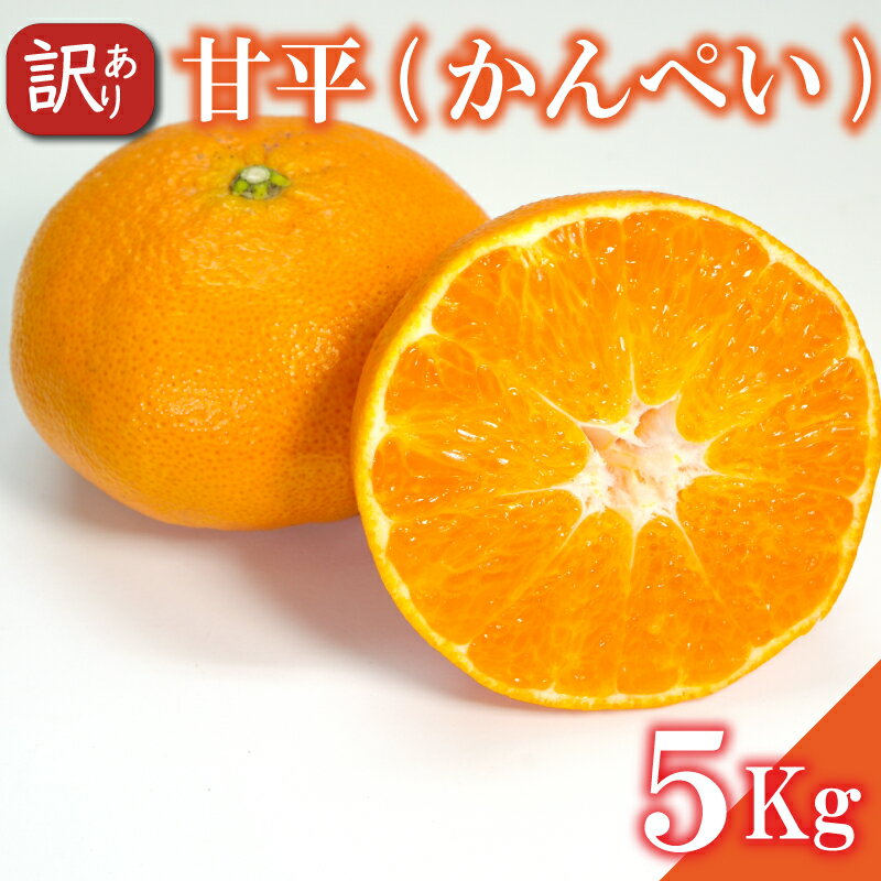 【ふるさと納税】 訳あり 甘平 約5kg かんぺい 柑橘 みかん 愛媛県 松山市