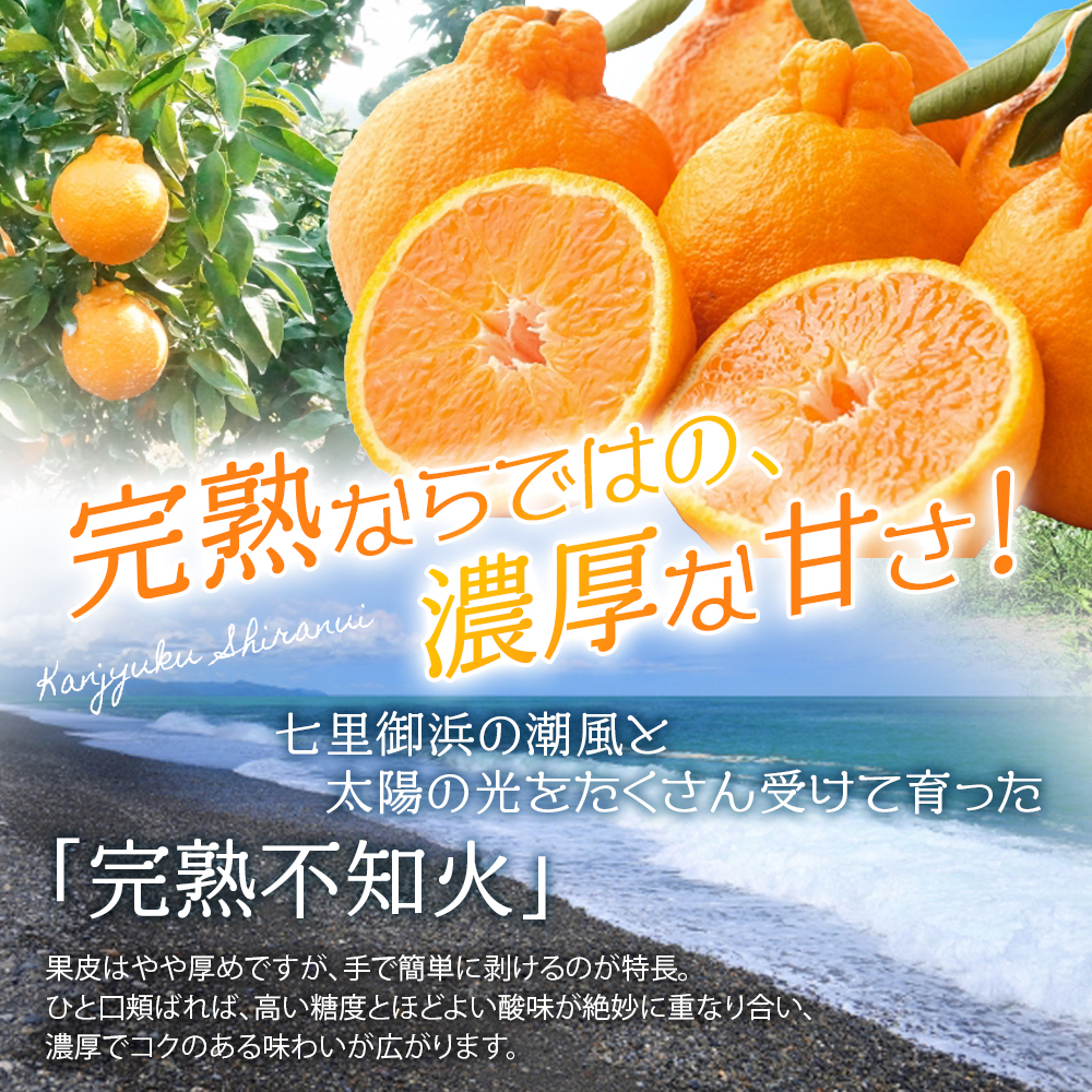 【数量限定】仲森農園の完熟不知火 5kg 【2026年2月～4月頃で順次発送】 みかん ミカン 蜜柑 柑橘 しらぬい 不知火 フルーツ 果物 くだもの 旬 甘い 産地直送 期間限定 三重県 熊野市 【