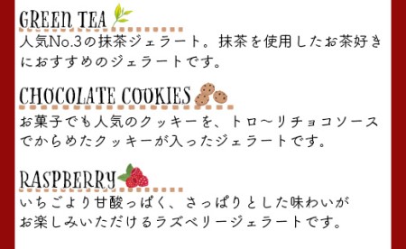 【クリスマス限定】クリスマス2層アイスケーキ（5種から選択） ジェラートケーキ dc-0059