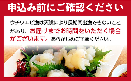 ウチワエビ 刺身 170g(ポン酢付)【ひばり】[KAA061]/ 長崎 平戸 魚介類 海老 エビ ウチワエビ 季節限定 ご当地 グルメ 刺身 しゃぶしゃぶ