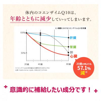 ふるさと納税 掛川市 DHC コエンザイムQ10 包接体 30日分 6個セット(180日分) |  | 02