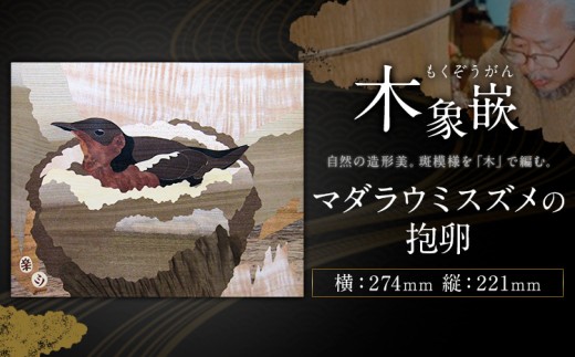 千葉県伝統工芸品 木象嵌 マダラウミスズメの抱卵 1枚 274mm×221mm 楽堂工房 《30日以内に出荷予定(土日祝除く)》千葉県 我孫子市 楽堂象嵌 工芸品 工芸 自然木 天然の木 アート 作品 木材 インテリア